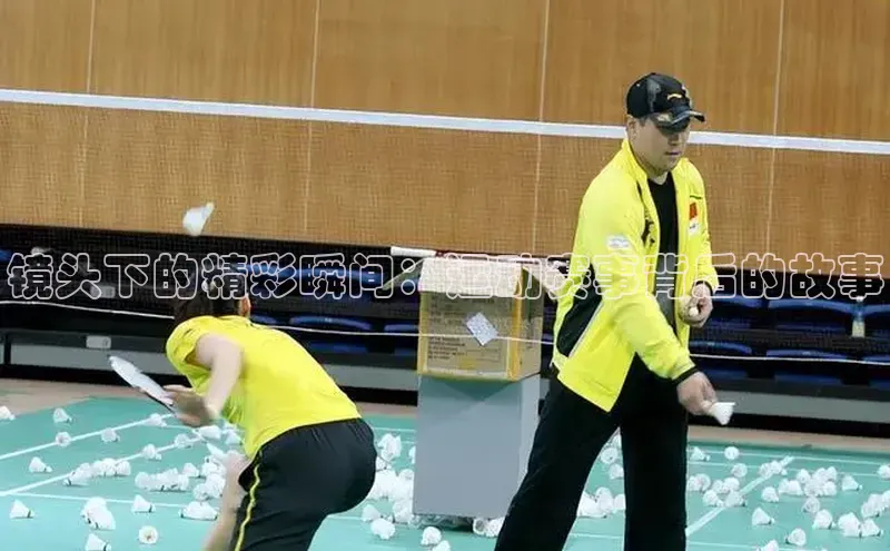 摩登7会员登录入口