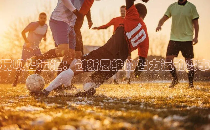 玩呗智运汇：创新思维的智力运动赛事