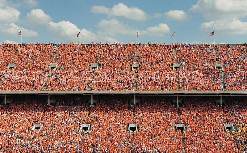 竞技盛宴：体育运动赛事直播直击现场震撼瞬间